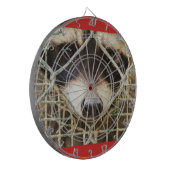 ケージのダーツボードの後ろのラッコンの悲しい表情 ダーツボード (正面左)