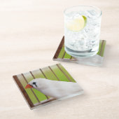 ケージの白いフィンチバード ガラスコースター (アングル)