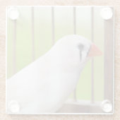 ケージの白いフィンチバード ガラスコースター (裏面)