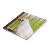 ケージの白ゼブラフィンチバード タイル (側面)