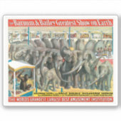 ケージの象と動物のサーカスのポスター シール (正面)