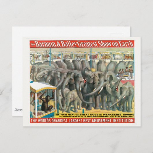 ケージの象と動物のサーカスのポスター ポストカード (正面/裏面)