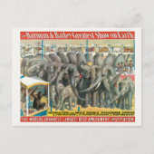 ケージの象と動物のサーカスのポスター ポストカード (正面)