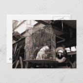 ケージドの獣 ポストカード (正面/裏面)