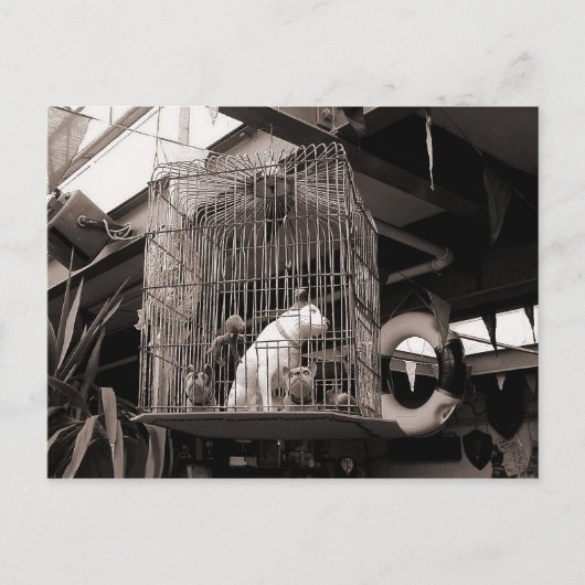 ケージドの獣 ポストカード (正面)