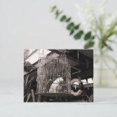 ケージドの獣 ポストカード (スタンド正面)