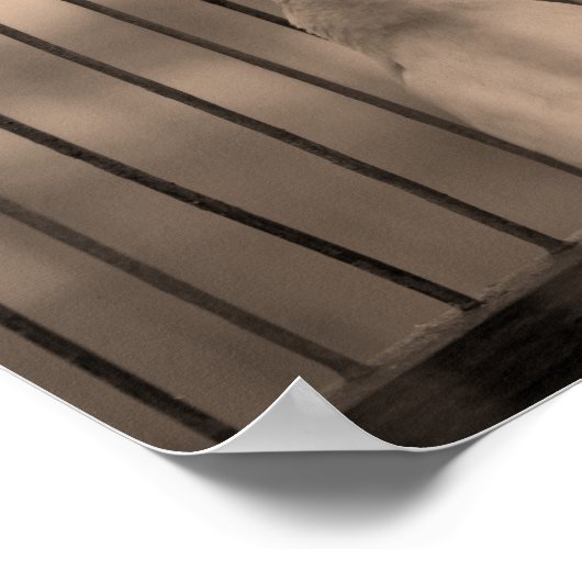 ケージ内の鳥 ポスター (角)