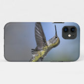 ケースメイトTough Apple iPhone 11 Case-Mate iPhoneケース (裏面(横))