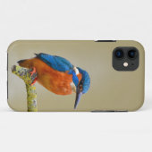 ケースメイトTough Apple iPhone 11 Case-Mate iPhoneケース (裏面(横))