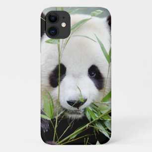 ケース写真ジャイアントパンダ、パンダガント、動物。 iPhone 11 ケース