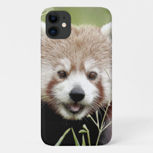 ケース写真レッドパンダ、パンダルークス、動物。 iPhone 11 ケース
