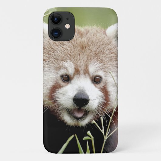 ケース写真レッドパンダ、パンダルークス、動物。 Case-Mate iPhoneケース (裏面)