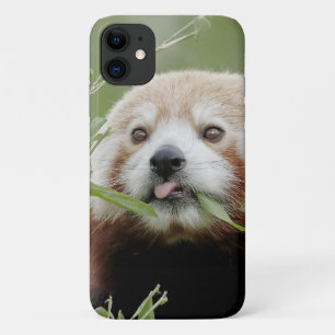 ケース写真レッドパンダ、パンダルークス、動物。 iPhone 11 ケース