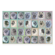 ケーズ頭包み紙