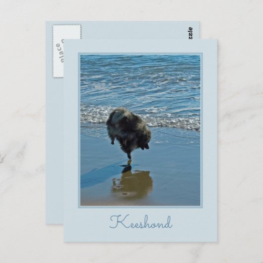 ケーゼンド・バレエ写真 - かわいいオリジナルドッグアート ポストカード (正面/裏面)