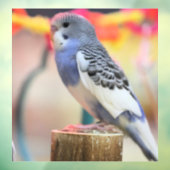 ケート ウィンドウサイン (シート3)