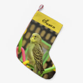 ケート スモールクリスマスストッキング (正面 (吊り時))