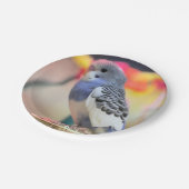 ケート ペーパープレート (アングル)