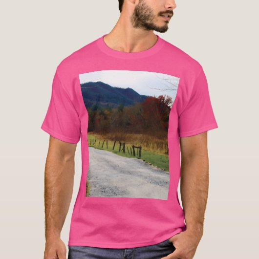 ケードズコーブランドスケープグラフィック Tシャツ (正面)