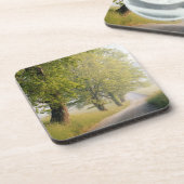 ケードズコーブ|スモ素晴らしーキー山脈(TN) コースター (左側)