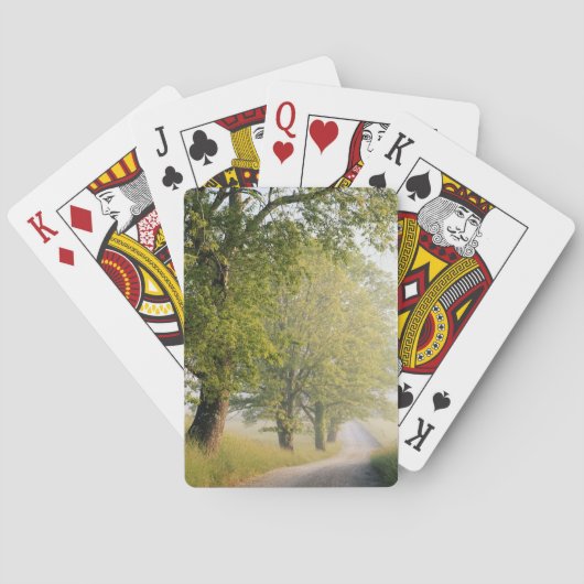 ケードズコーブ|スモ素晴らしーキー山脈(TN) トランプ (裏面)