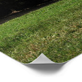 ケードズコーブ ポスター (角)