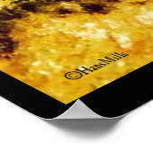 ケーブヘッジホグ ポスター (角)