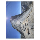 ケーブルの底から半円屋根 – Yosemite テーブルクロス (正面)