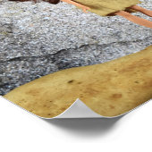 ケーブ絵を描のポスター ポスター (角)