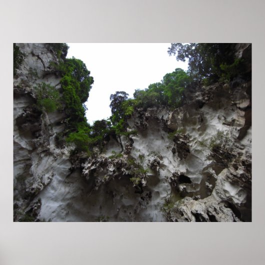 ケーブ ポスター (正面)