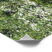 ケープアグルハスライトハウス1849 ポスター (角)