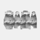 ケープカナベラルで初めて打ち上げられたロケット フェイバーボックス (折り畳みなし)