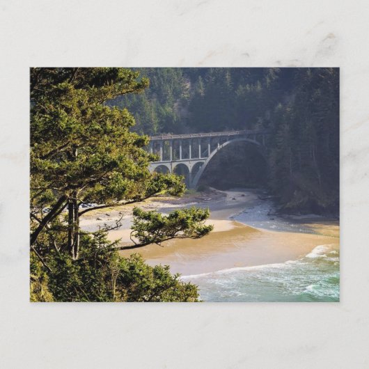 ケープクリーク ポストカード (正面)