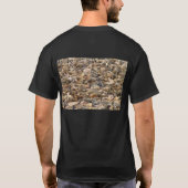 ケープクロスシールリザーブ Tシャツ (裏面)