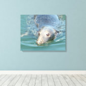 ケープコッドで泳ぐかわいいシール キャンバスプリント (インサイチュ (ウッドフロア))