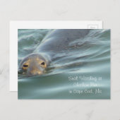 ケープコッドのチャタム埠頭でシールウォッチング ポストカード (正面/裏面)