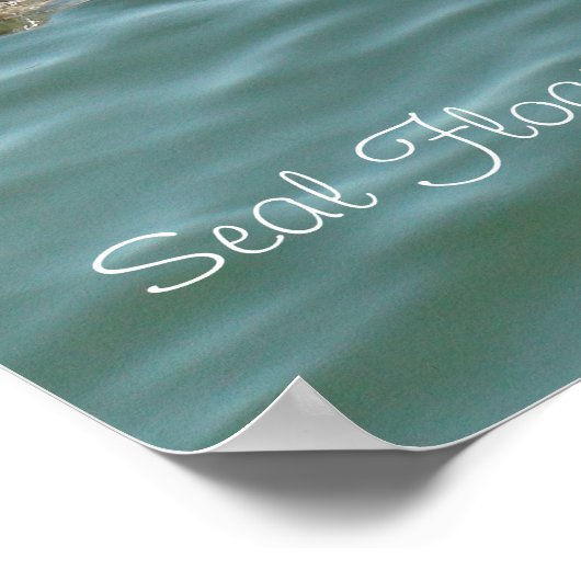 ケープコッドのチャタム埠頭に浮かぶシール ポスター (角)