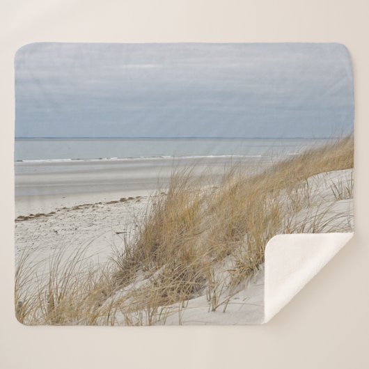 ケープコッドの海のビーチ シェルパブランケット (正面(横))