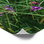 ケープコッドビーチハウス ポスター (角)