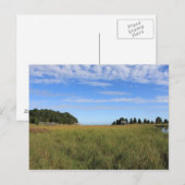 ケープコッド塩湿地 ポストカード (正面/裏面)