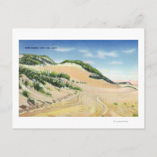 ケープコッド砂丘のビュー ポストカード (正面)