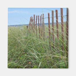 ケープコッド砂丘 マグネット