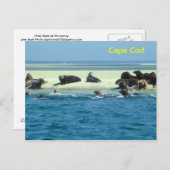 ケープコッド、グレーシールモノモイ ポストカード (正面/裏面)