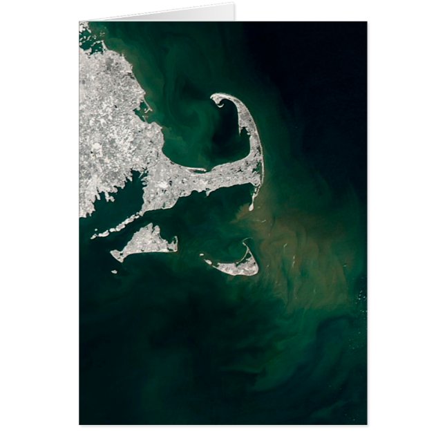 ケープコッド、マーサのブドウ園およびNantucket (正面)