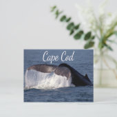 ケープコッド、州都マサチューセッツ州はがき ポストカード (スタンド正面)