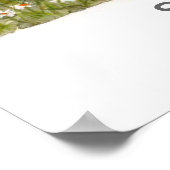 ケープコラ ポスター (角)