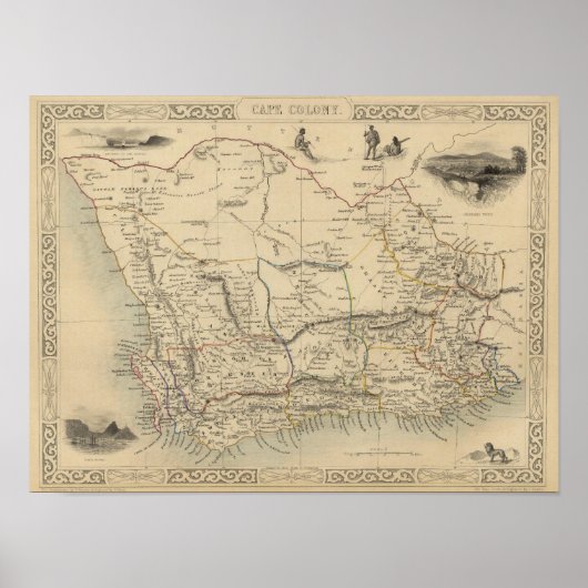ケープコロニー ポスター (正面)