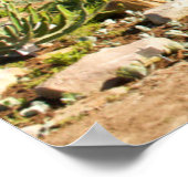 ケープタウンのカーステンボス植物園 ポスター (角)