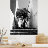 「ケープタウンの木」 JTGアートポスター ポスター (キッチン)