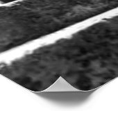 「ケープタウンの木」 JTGアートポスター ポスター (角)